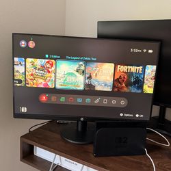 HP FHD monitor