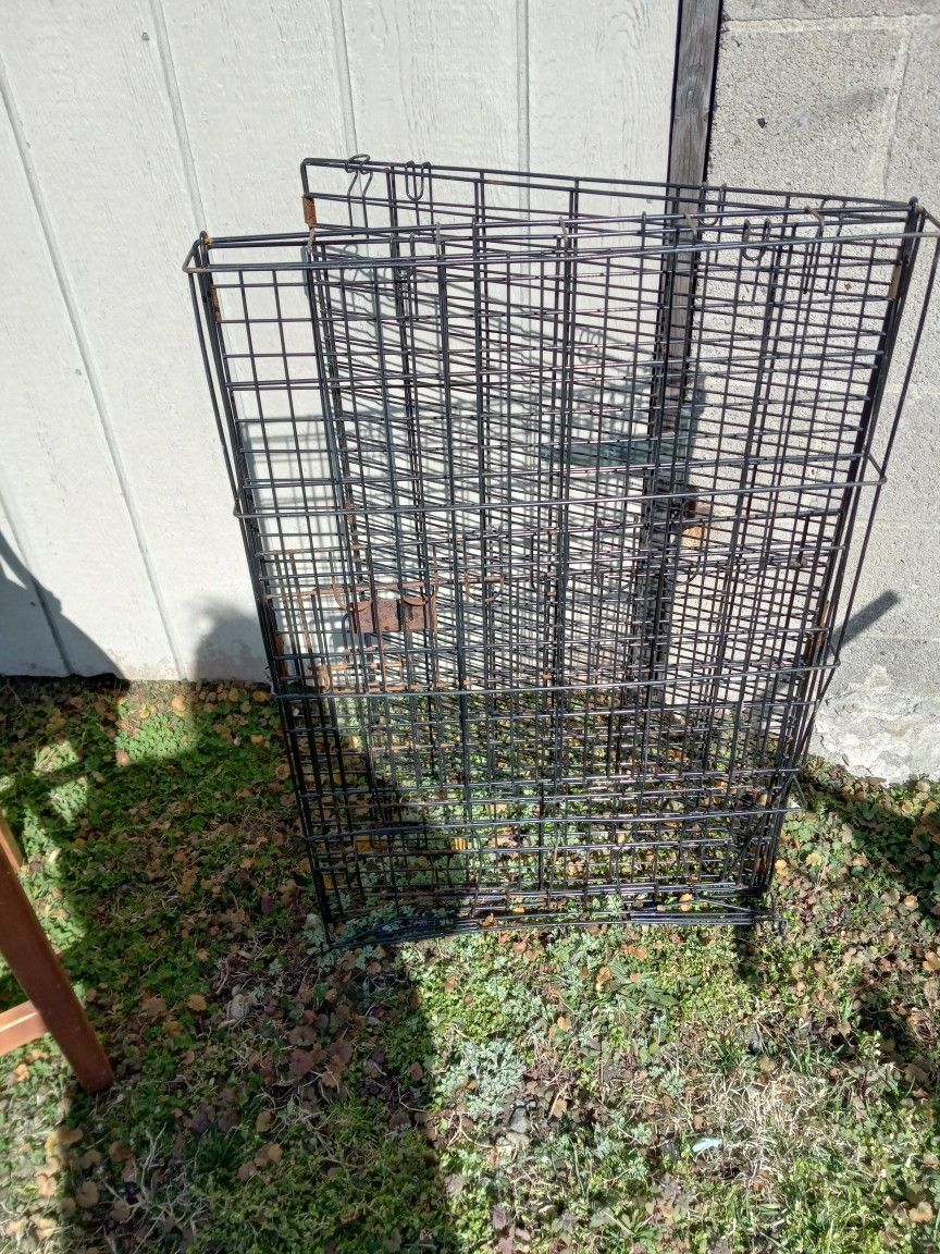 LG Dog Crate