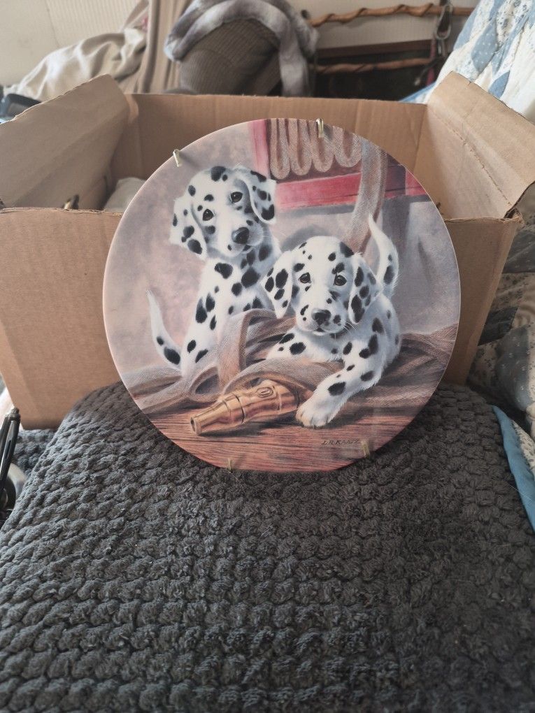 This Is A Collection Plate. On The Back Said  "We've Been Spitted"