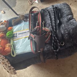 Dog Stuff / Dog Accessories/ Dog Leash / Dog Mat / Dog Toys / Dog Chew Toys / Dog Poop Bags Pouch