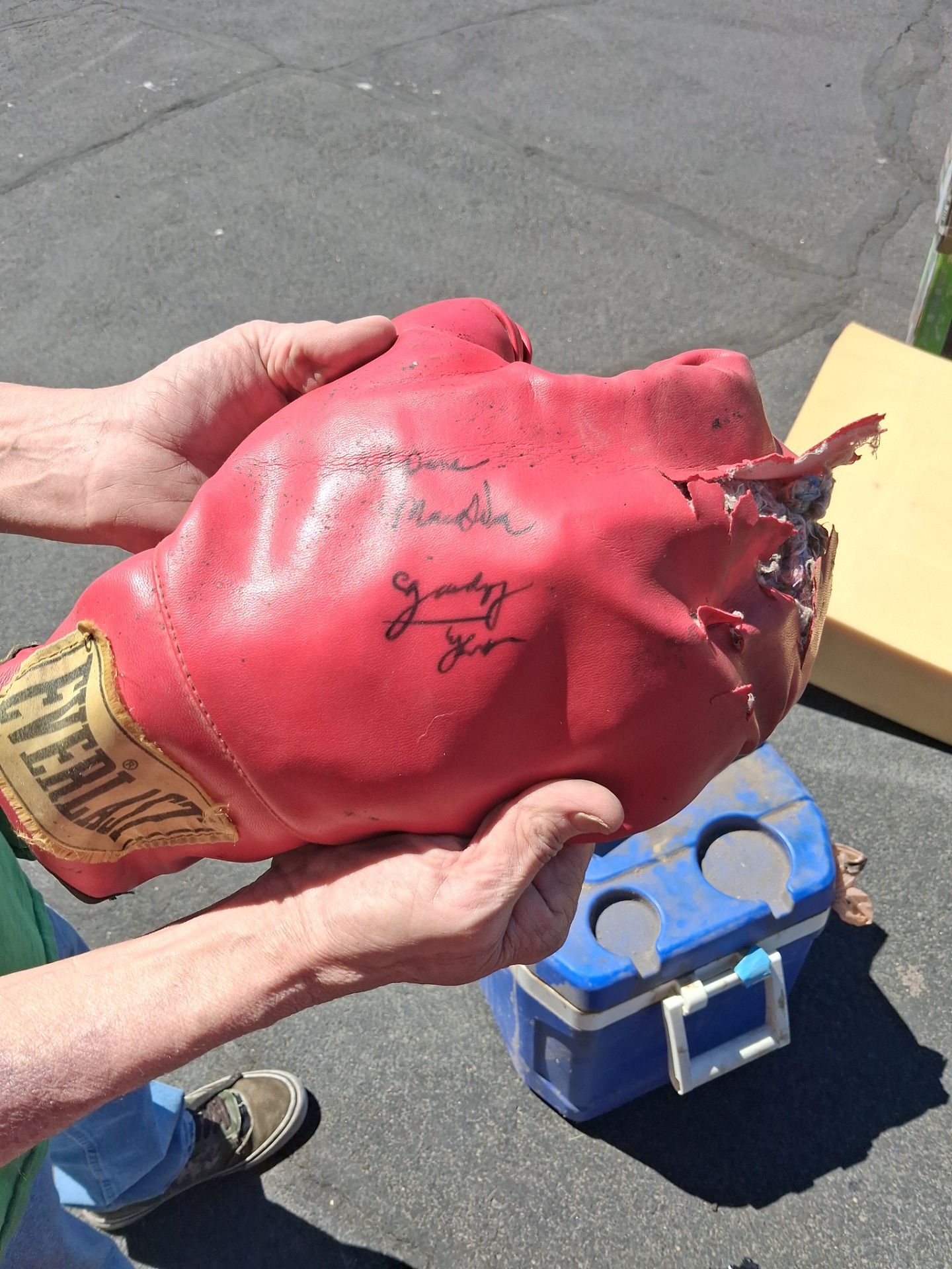 Signed boxing gloves