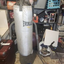 Everlast Punching Bag With Stand