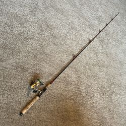 Spinning Rod And Shimano Reel