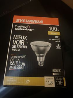 Blanc 100W Outdoor Light Sylvania Brand