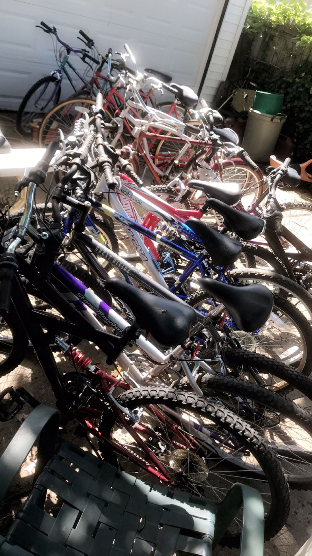 Adults bikes