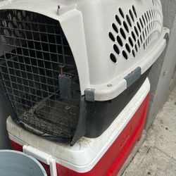 Dog Kennel 