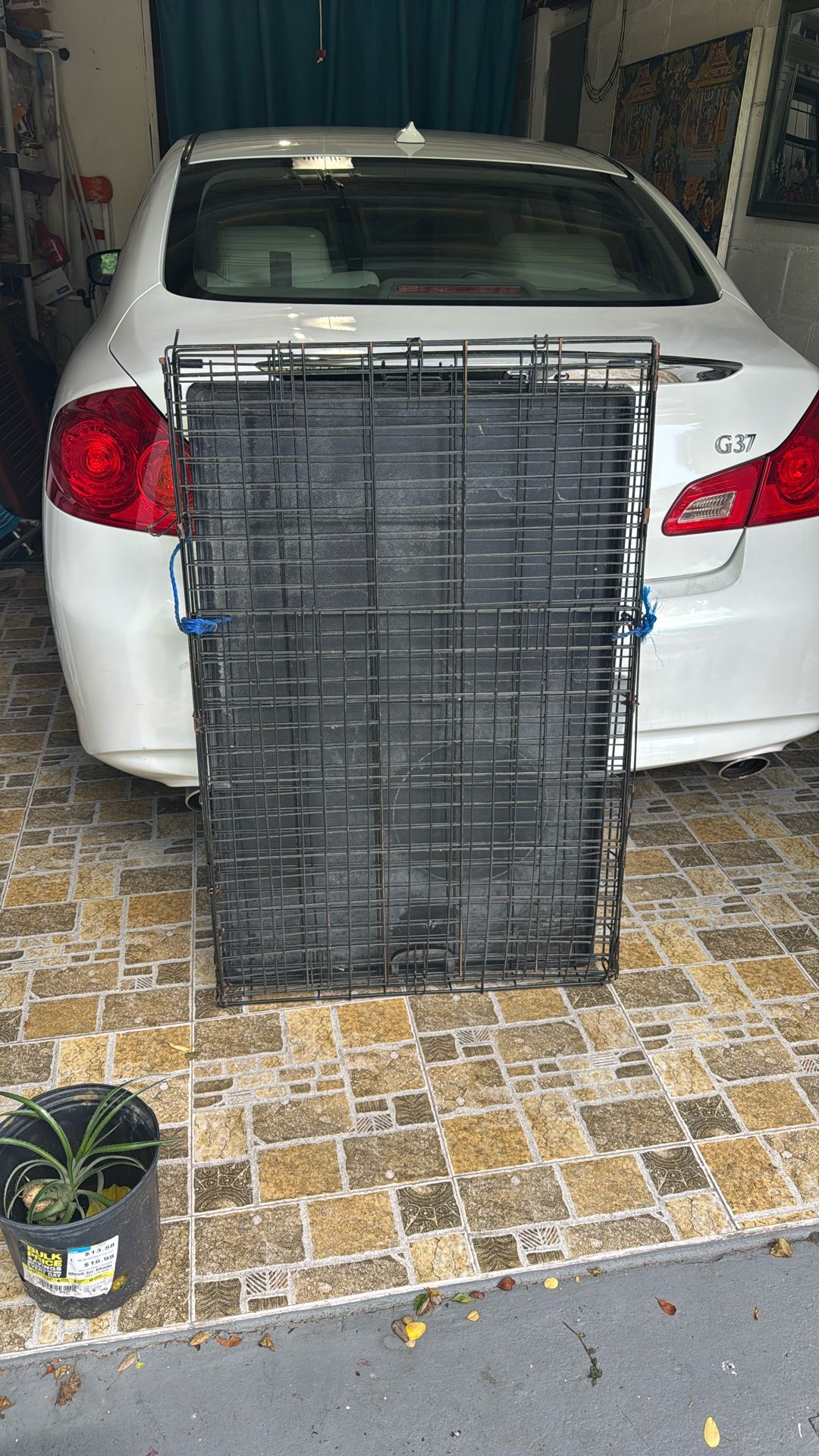 Dog Cage (big dog)