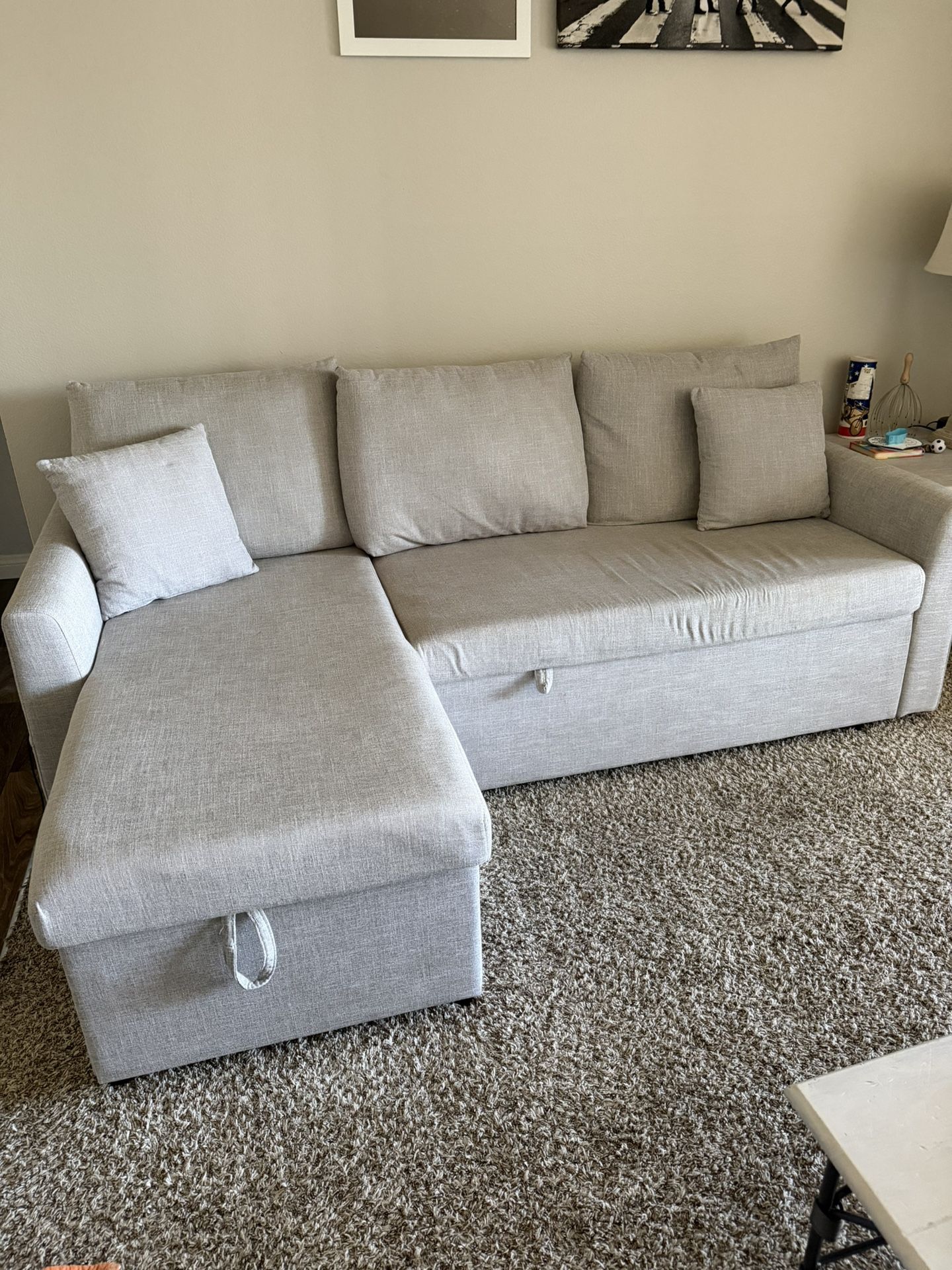Grey Pull Out Couch