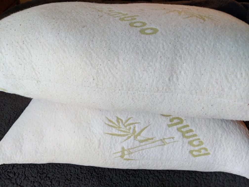 2 Bamboo Memory Foam Pillows