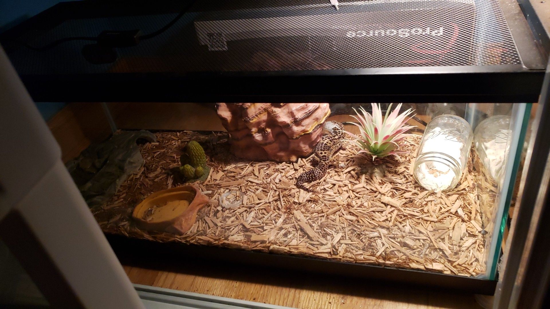 Two 20 gallon long leopard gecko tanks for Sale in Oak Lawn, IL - OfferUp