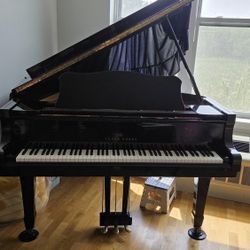 Young Chang G157 baby grand piano