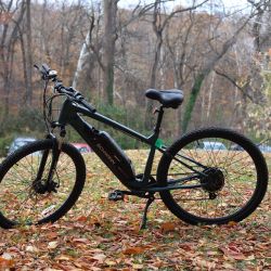 Schwinn Roanoke E-Bike