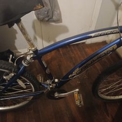 Black Canyon Adult Bike