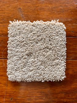 New carpet/FREE