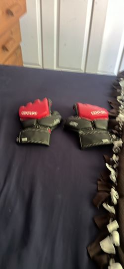 MMA gloves