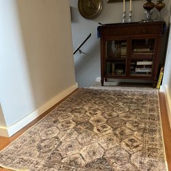Brand New Pretty Rug 