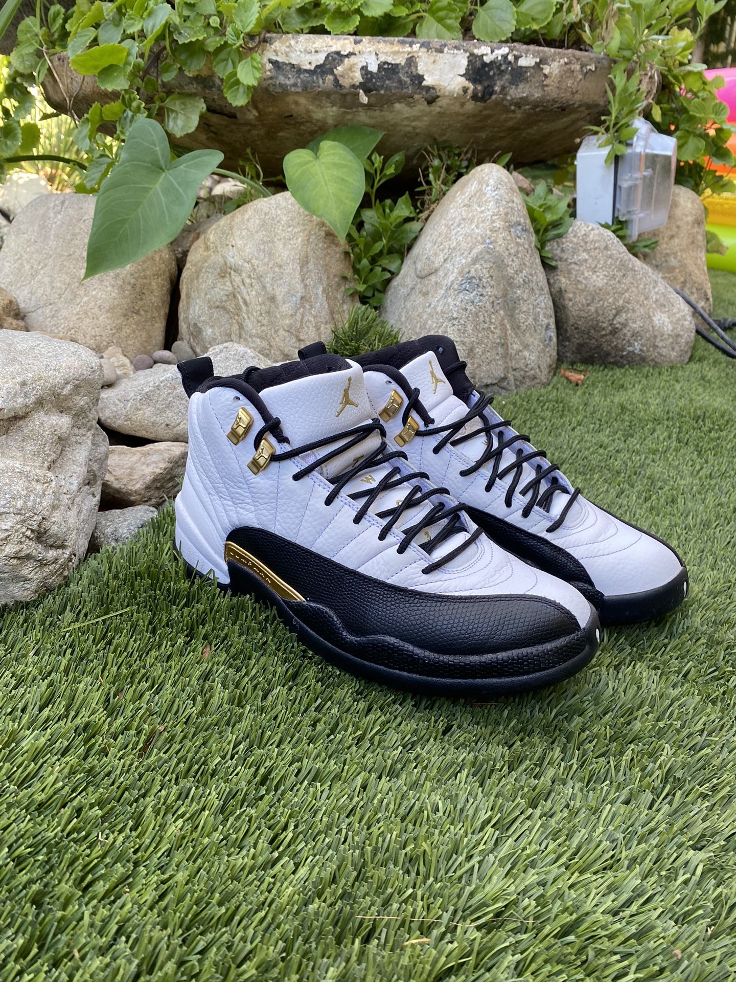 Jordan 12 Royalty Taxi