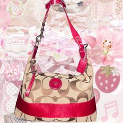 🧚🏼‍♀️ Y2K/Vintage Coach Signature Stripe Hobo