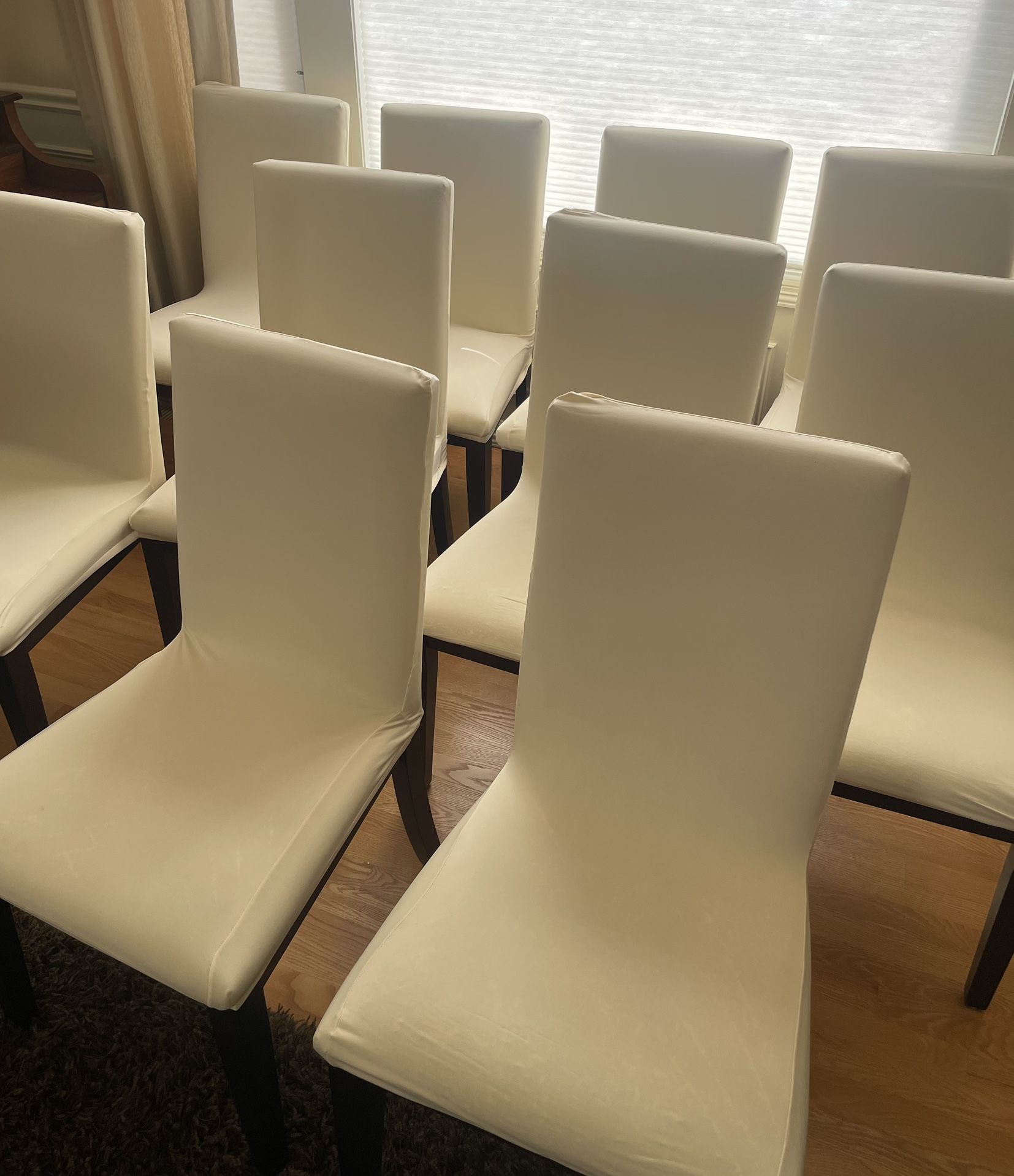 Dining Chairs