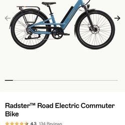 Electric Rad Bike