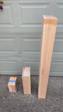 Decorative Douglas Fir ~6x9