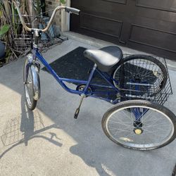 Trike Bike 