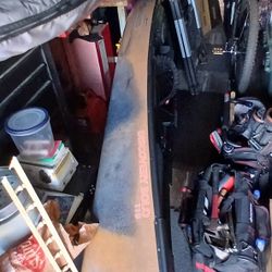 Never Been  In The Water 