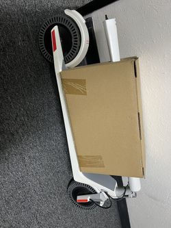 Youth Scooter