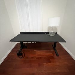 Secret lab magnus Pro Xl Standing desk