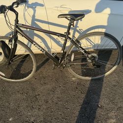 Dispatch Bicycle