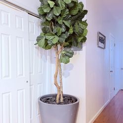 Artificial leaf Fig tree plant 