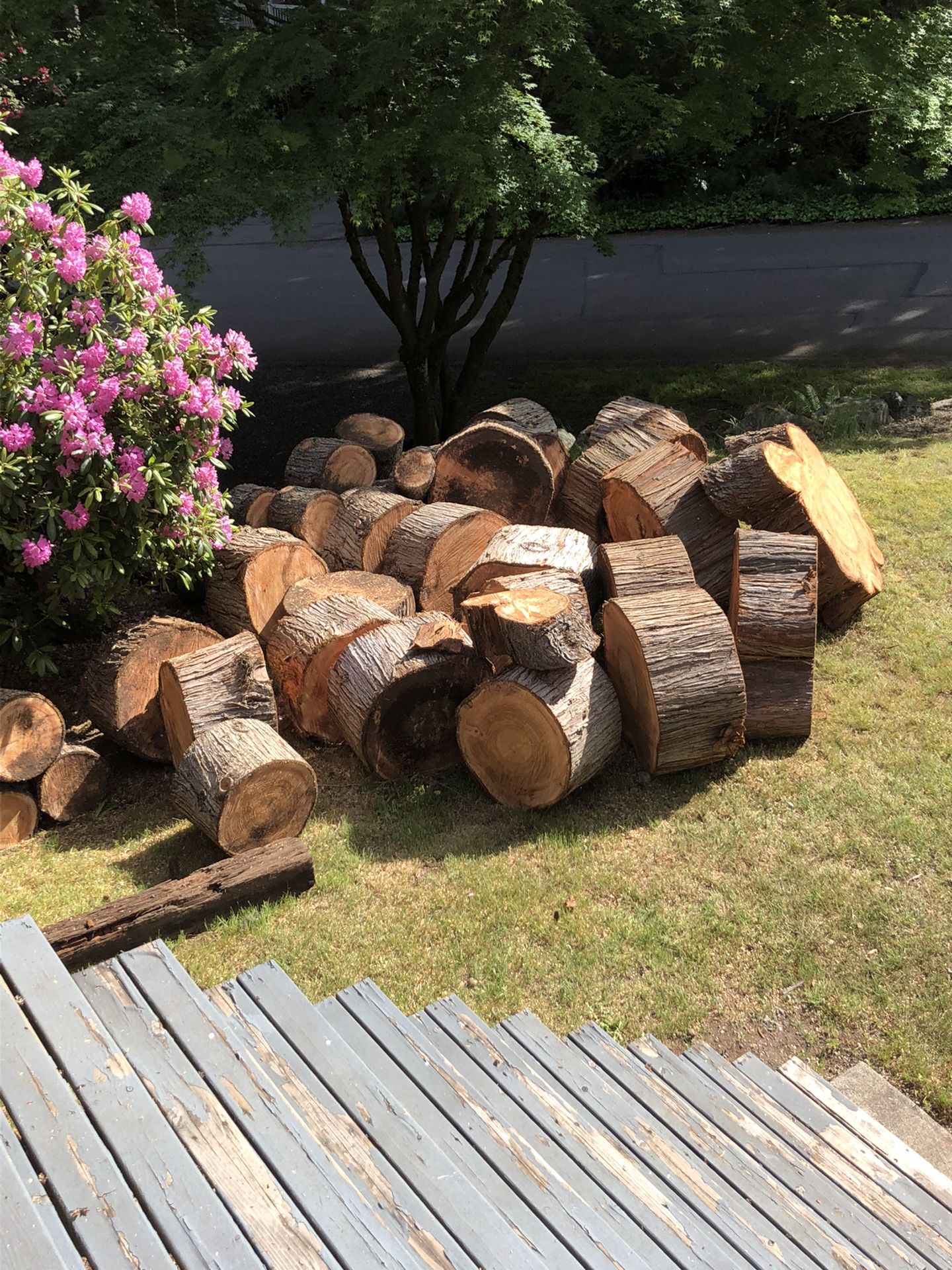 FREE Firewood! for Sale in Bothell, WA OfferUp