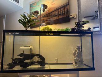 55 gallon fish tank and accessories