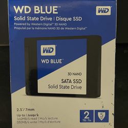 WD Blue 2TB SSD