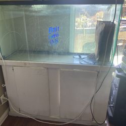 Fish Tank