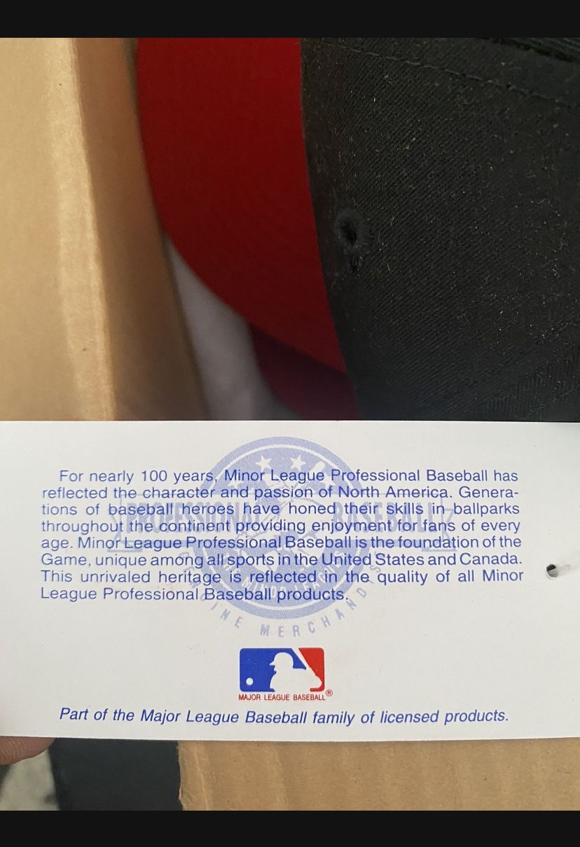 Vintage Snap Back Lot Of 48 Delaware Shorebirds 90s 