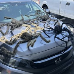 Halloween Hairy Spiders (set Of 4) 3 Feet Each