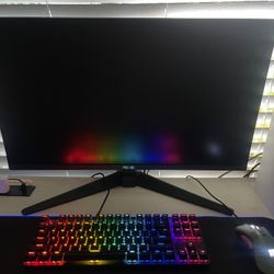 Gaming Monitor 