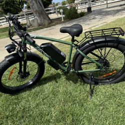 1000W 16Ah E-bike