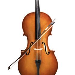 CLASES DE VIOLA INCLUYE ARMONIA SOLFEO Y TEORIA MUSICAL  50DLS CLASE O 60 ADOMICILIO