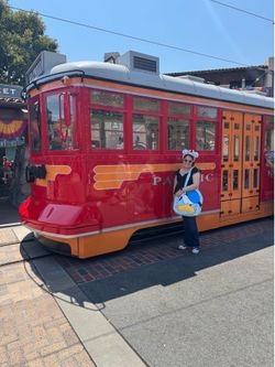 Donald Duck Disneyland big face tote !