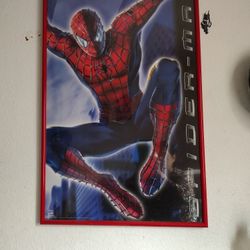 spiderman picture/ curtain's