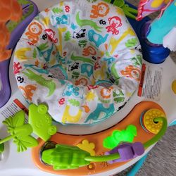 Fisher Price Baby Bouncer