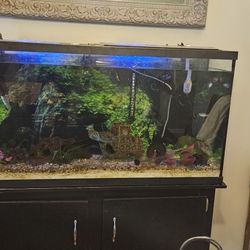 60 Gallon Aquarium and Cabinet
