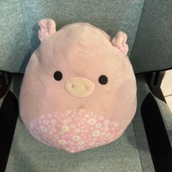 Pig Squishmallow 