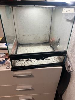 Terrarium