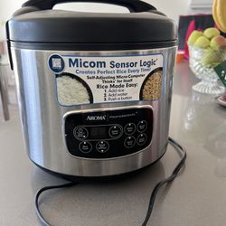 Micro- Computer Rice Cooker, Slow Cooker 