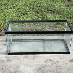 20 Gallon Fish / Turtle Tank