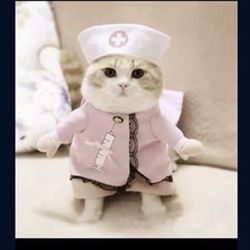 Pet Costume (different Sizes 