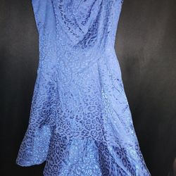 Maria Bonita Dresses $20 Each (Beige & Royal Blue)